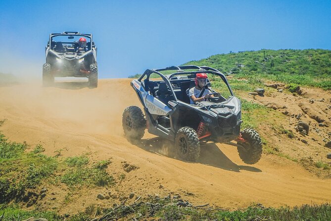 Off-Road Cabo Adventure: Desert & Beach Ride Plus Tequila Tasting - Who Will Enjoy This Cabo Adventure