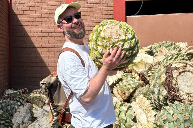 One day trip : Mezcal, Tlayudas & Textil - Key points to know before booking