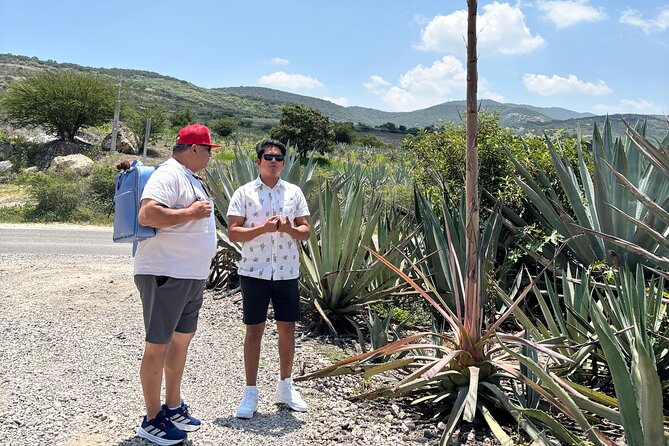 One day trip : Mezcal, Tlayudas & Textil - Santiago Matatlán and eight types of mezcal