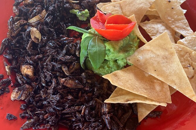 Paths of Mezcal - How to prepare for the 8:00 a.m. start