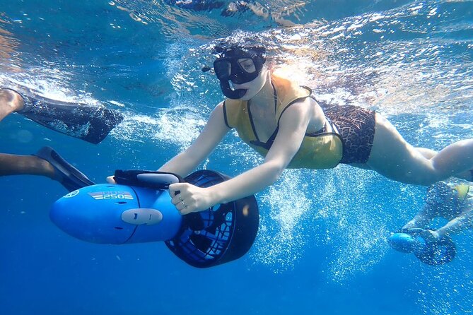 Power Snorkel By Sea Scooters & Tequila Tasting - Fish, coral, and stingrays beneath the scooter