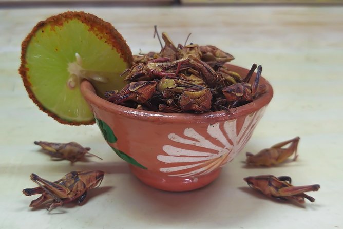 Premium Mezcal Tasting and Class - What this Huatulco mezcal class actually offers