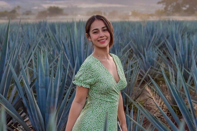 Premium Private Tequila Tour - Agave fields between Amatitán and Tequila