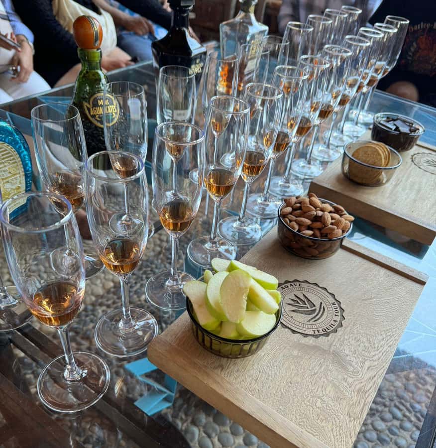 Premium Tequila Route with professional tasting - Free time in the Pueblo Mágico of Tequila