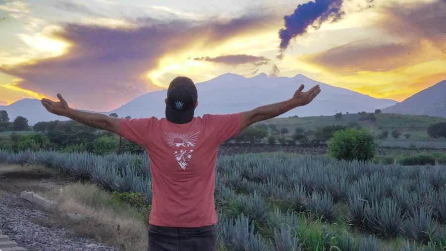 Premium Tequila Route with professional tasting - Finishing with cantaritos and live music