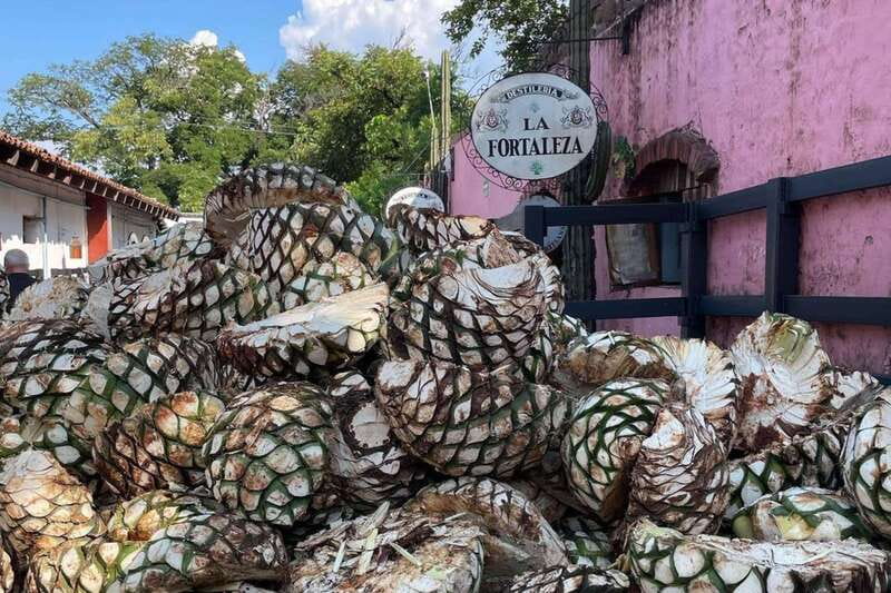 Private Adventure to Tequila and la Fortaleza Distillery - What the $169 price covers