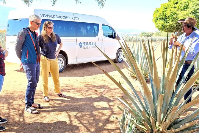 Private Artisanal Tequila Tour - El Arenal offers a short look at the route west