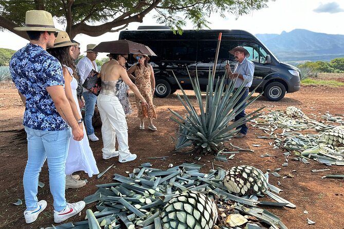 Private Artisanal Tequila Tour - La Minerva gives the day a Guadalajara starting point