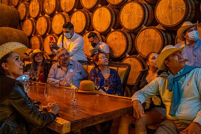 Private Day Adventure Tour in Tequila and visit to the Castle of Tequila - One Hour in the Magic Town of Tequila