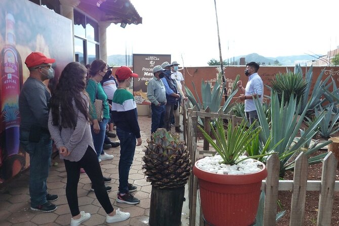 Private Family Tour visitng Mitla, Mezcal Factory, HIerve el Agua - Hierve el Agua brings the biggest views