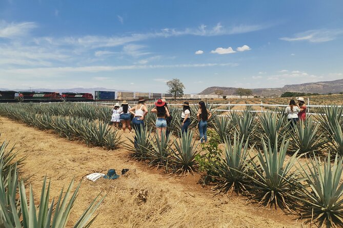 PRIVATE Fire TOUR: Pyramids, Volcanoes, Agaves & Tequila - What the private format is worth at $99