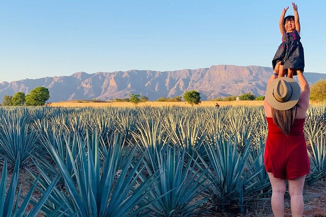 Private Full-Day Tour to Tequila Pueblo Magico - Tres Mujeres shows the tequila process up close