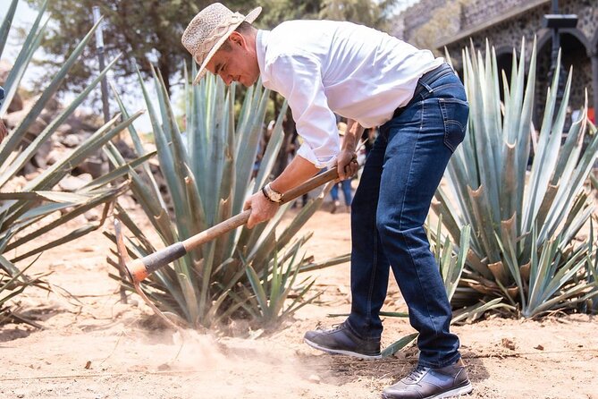 Private Full-Day Tour to Tequila Visiting El Castillo de Tequila - The Mirador del Tequila and the extreme swing