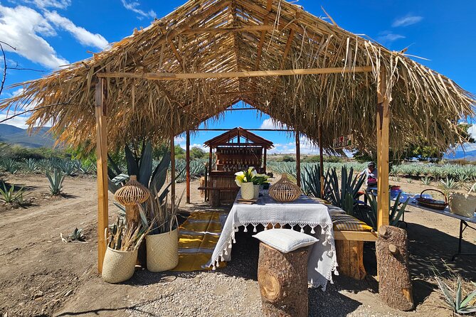 Private Lunch in Mezcal Maguey Fields - Key points to know before booking