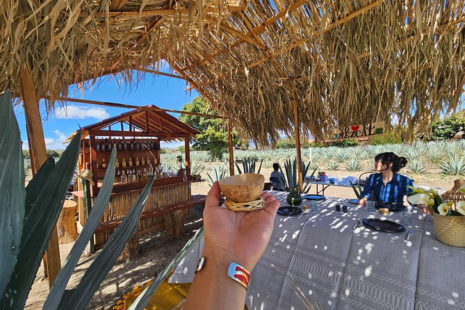 Private Lunch in Mezcal Maguey Fields - A lunch cooked in the field