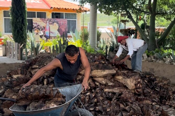Private Monte Alban VIP : Mezcal and Zapoteco Art - What Juan adds to the experience