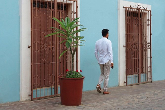 Private Oaxaca Walking Tour with Mezcal Tasting - Why this walk works well on your first day