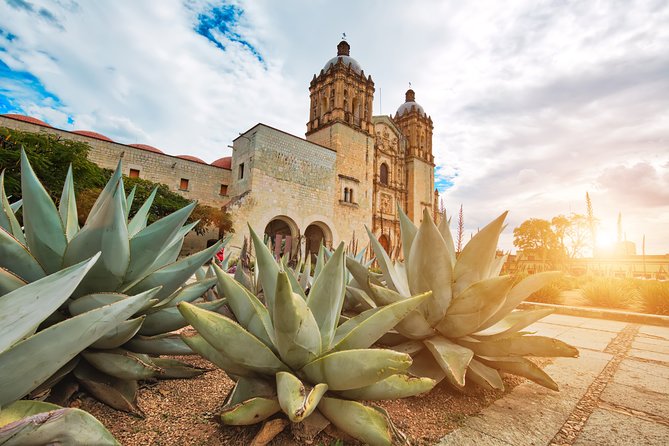 Private Oaxaca Walking Tour with Mezcal Tasting - Everyday Oaxaca at Benito Juárez Market