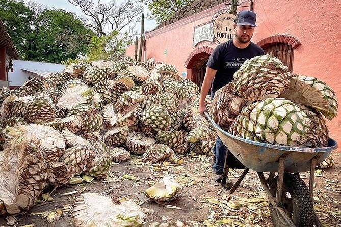 Private One Day Adventure Tour in Tequila and La Fortaleza Distillery - Why Fortaleza is the heart of the day