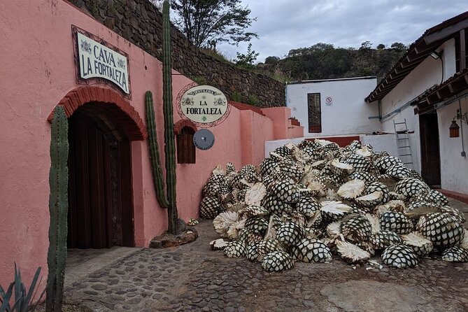 Private One Day Adventure Tour in Tequila and La Fortaleza Distillery - A private day with room to change plans