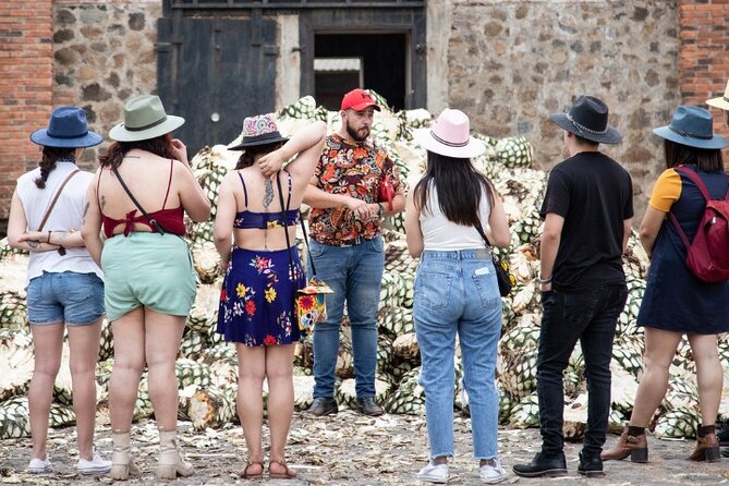 Private One Day Adventure Tour in Tequila and La Fortaleza Distillery - Is the $191.16 price fair?