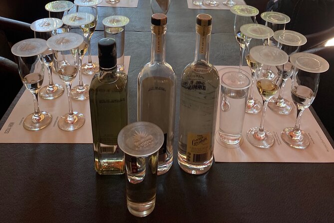 Private Tequila Tour - From Guadalajara to tequila country at 9:00 a.m.
