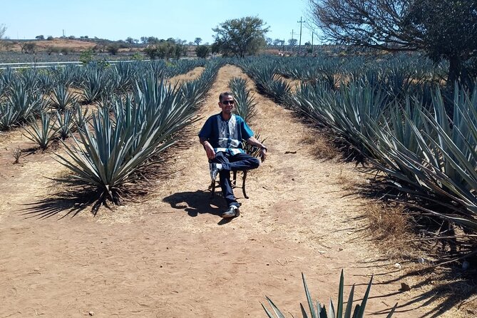 Private Tequila Tour in Guadalajara - What is included and what is not