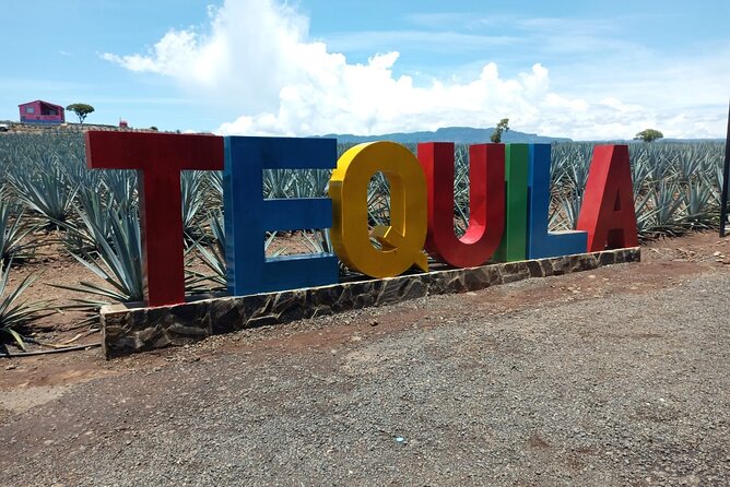 Private Tequila Tour in Guadalajara - Comparing three very different distilleries