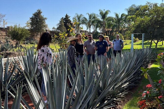 Private Tequila Tour with Local Expert - Why this private Tequila day works