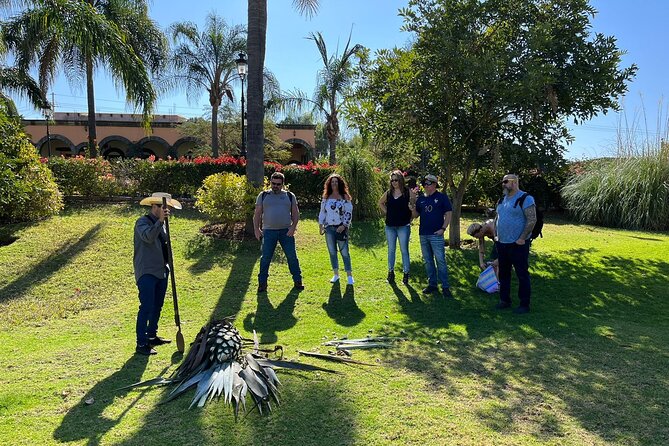 Private Tequila Tour with Local Expert - Casa Marengo and the family distillery experience