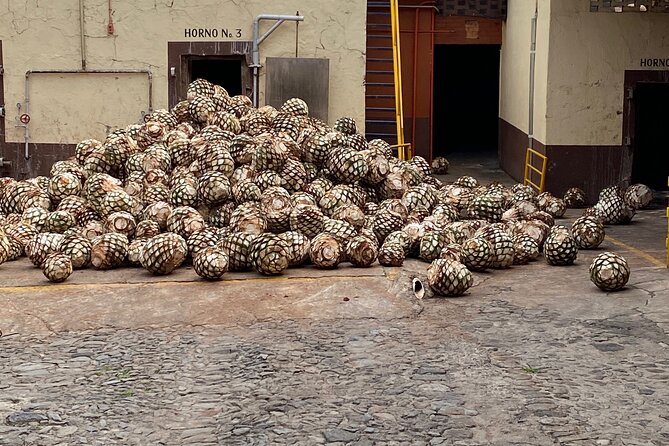 Private Tequila Tour - Tequila Cascahuin and the work behind the bottle
