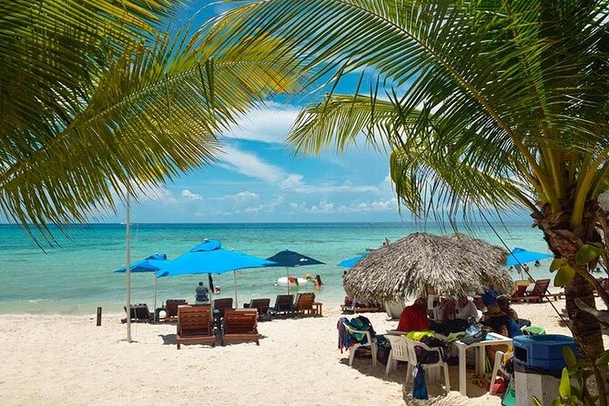 Private Tour: 5-Hour Cozumel Sightseeing with Private Driver and Tequila Tasting - El Mirador and the east coast road