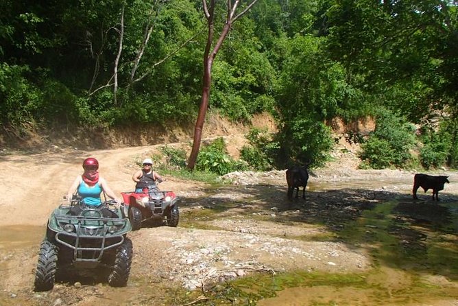 Private Tour: ATV SIERRA MADRE rivers with Tequila Tasting - Guides, equipment, and the human touch