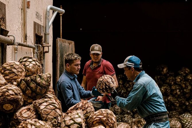 Private Tour Cascahuin Distillery and visit to Tequila - Two distilleries make the tequila story clearer