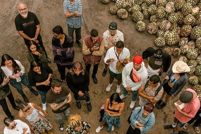 Private Tour Cascahuin Distillery and visit to Tequila - Mirador del Tequila adds a change of pace