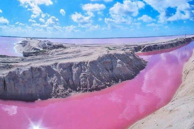 Private Tour: Ek Balam, Pink Flamingos Sanctuary and Tequila Tasting Factory - The early ride from Cancun to Ek Balam