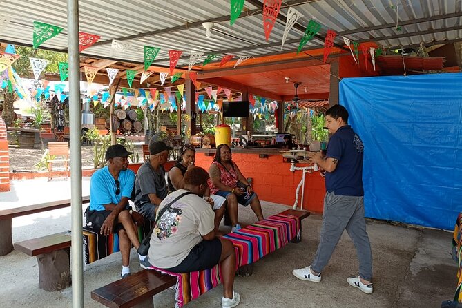 Private tour in Puerto vallarta visit to afabrica de tequila - A fast introduction to Puerto Vallarta’s waterfront