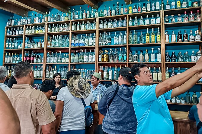 Private Tour New Raicilla Route to Mascota from Puerto Vallarta - Who Will Get the Most From This Trip