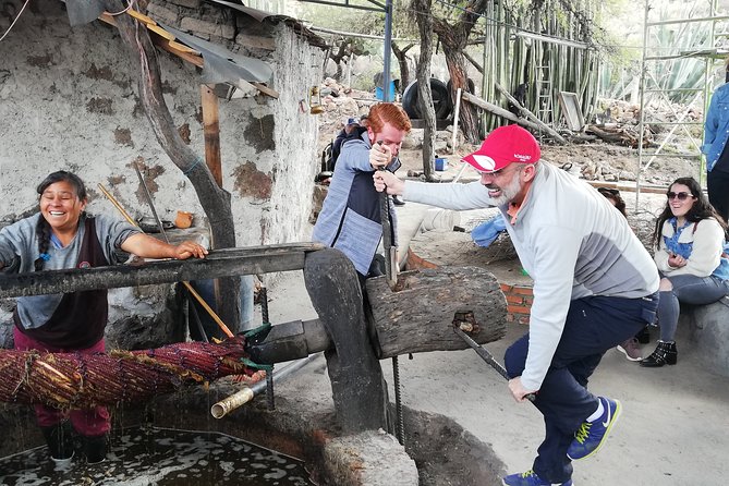 Private Tour of the Mezcal Route with Ancestral Drinks - Key points at a glance