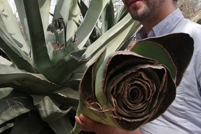 Private Tour of the Mezcal Route with Ancestral Drinks - What the $89.57 price covers