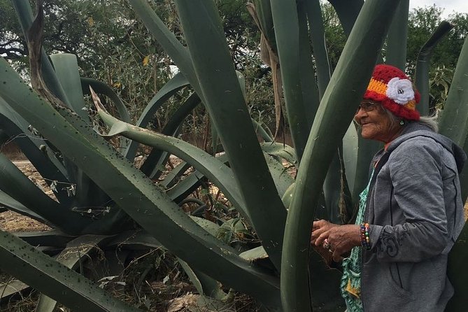 Private Tour of the Mezcal Route with Ancestral Drinks - The guide and the human connection