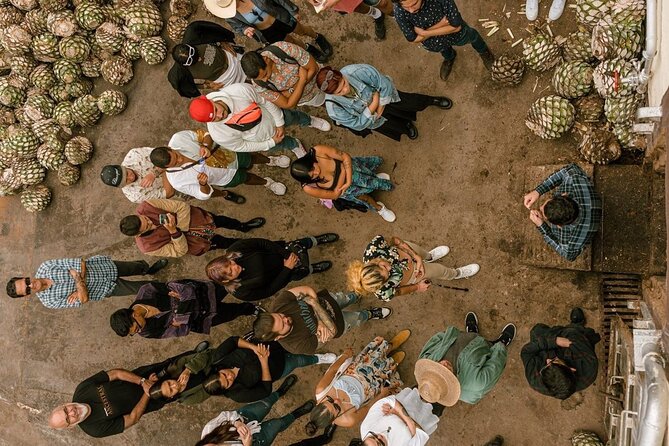 Private Tour one day of Adventure in Tequila and Tequilera Cascahuin - Two tequila traditions in one private day