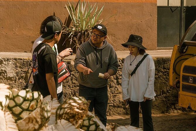 Private Tour one day of Adventure in Tequila and Tequilera Cascahuin - Tequila Selecto de Amatitán and the agave fields