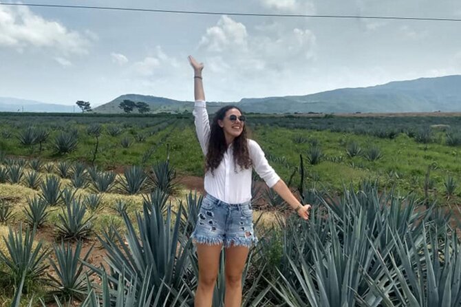 Private Tour one day of Adventure in the Guachimontones and Tequila Pueblo Mágico - The agave country around Tequila