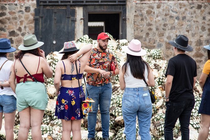 Private Tour one day of Adventure in the Guachimontones and Tequila Pueblo Mágico - What the private format really adds