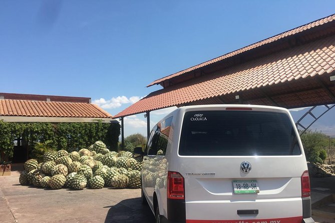 Private Tour to Hierve el Agua, Mezcal Tasting, and Textiles - The Driver Can Shape the Whole Day