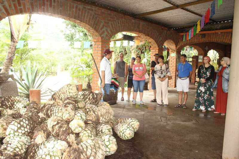 Puerto Vallarta: City Tour, Tequila and Coffee Factory Tour - Key points to know before booking