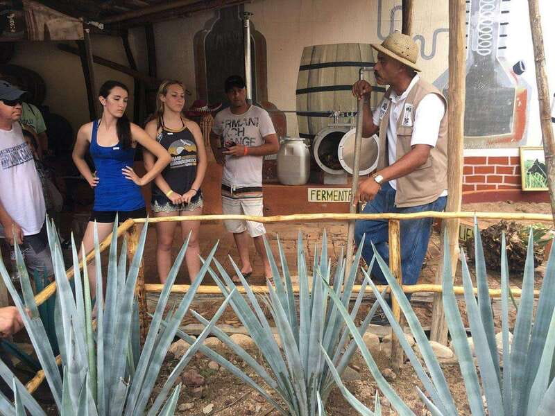 Puerto Vallarta: Predator ATV & Tequila Tour - Riding from Mismaloya into the hills