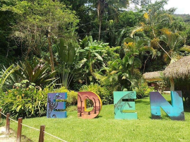 Puerto Vallarta: Predator ATV & Tequila Tour - Lunch, tropical drinks, and the tequila stop