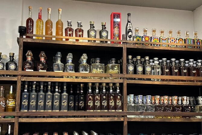 San Jose del Cabo Tequila, Mezcal and Mixology Class - Key points to know before booking